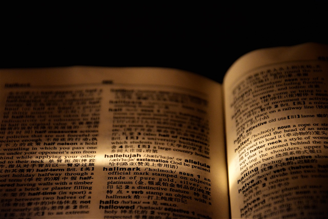 hallelujah, dictionary, page, light, book, paper, praise, worship, words, meaning, closeup, dark, dictionary, dictionary, dictionary, dictionary, book, book, praise, praise, praise, worship, worship, worship, worship, worship, words, words, words, meaning